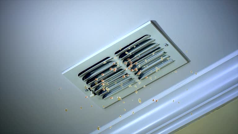 Best Affordable HVAC Duct Cleaning  in Home Garden, CA