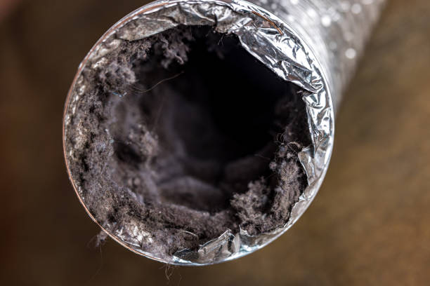 Best Affordable Duct Cleaning Services  in Home Garden, CA